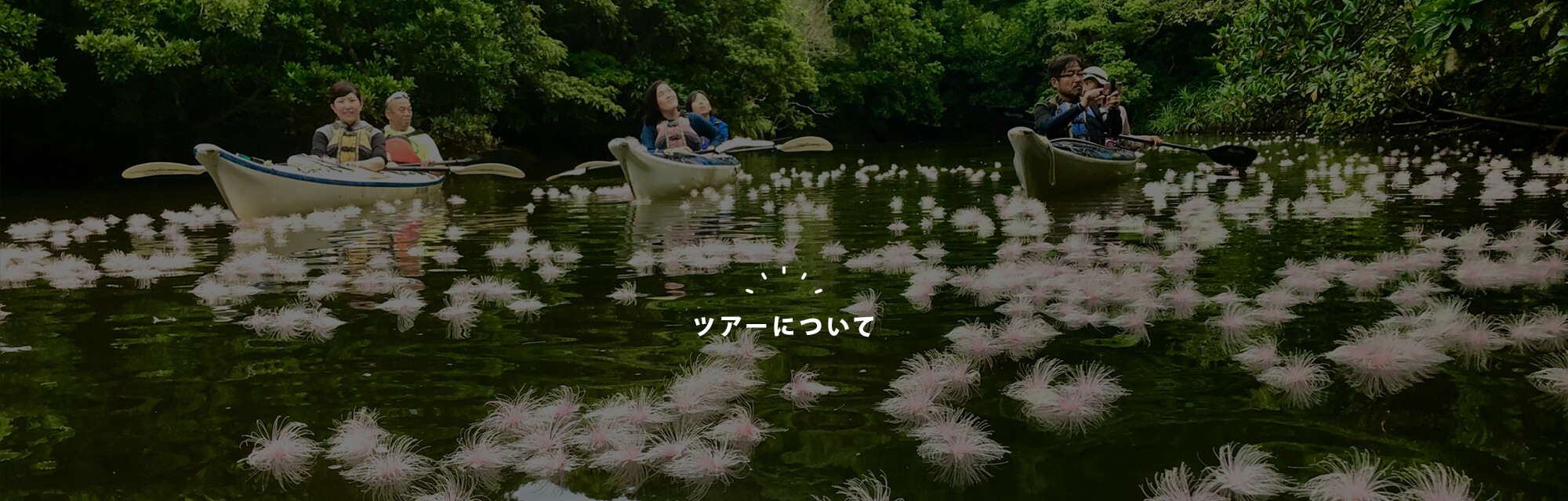 ツアーについて